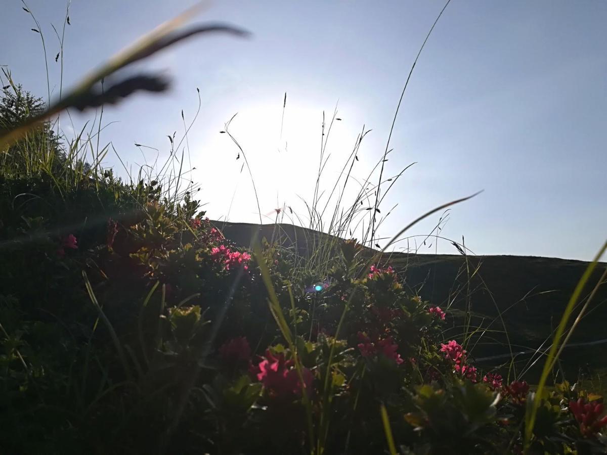 Herbst Wohnerlebnis Lofer Dış mekan fotoğraf
